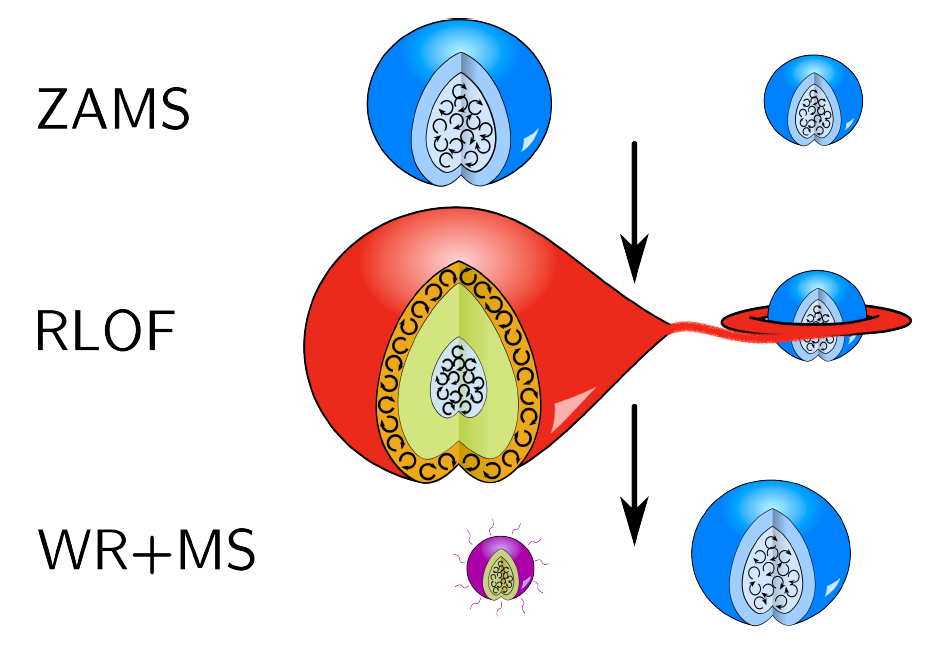 wr-diagram