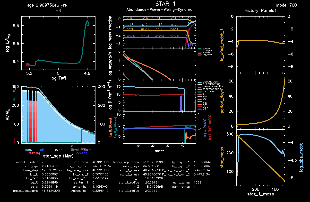 Expected pgstar output in Move 3 for a 300 Msun star