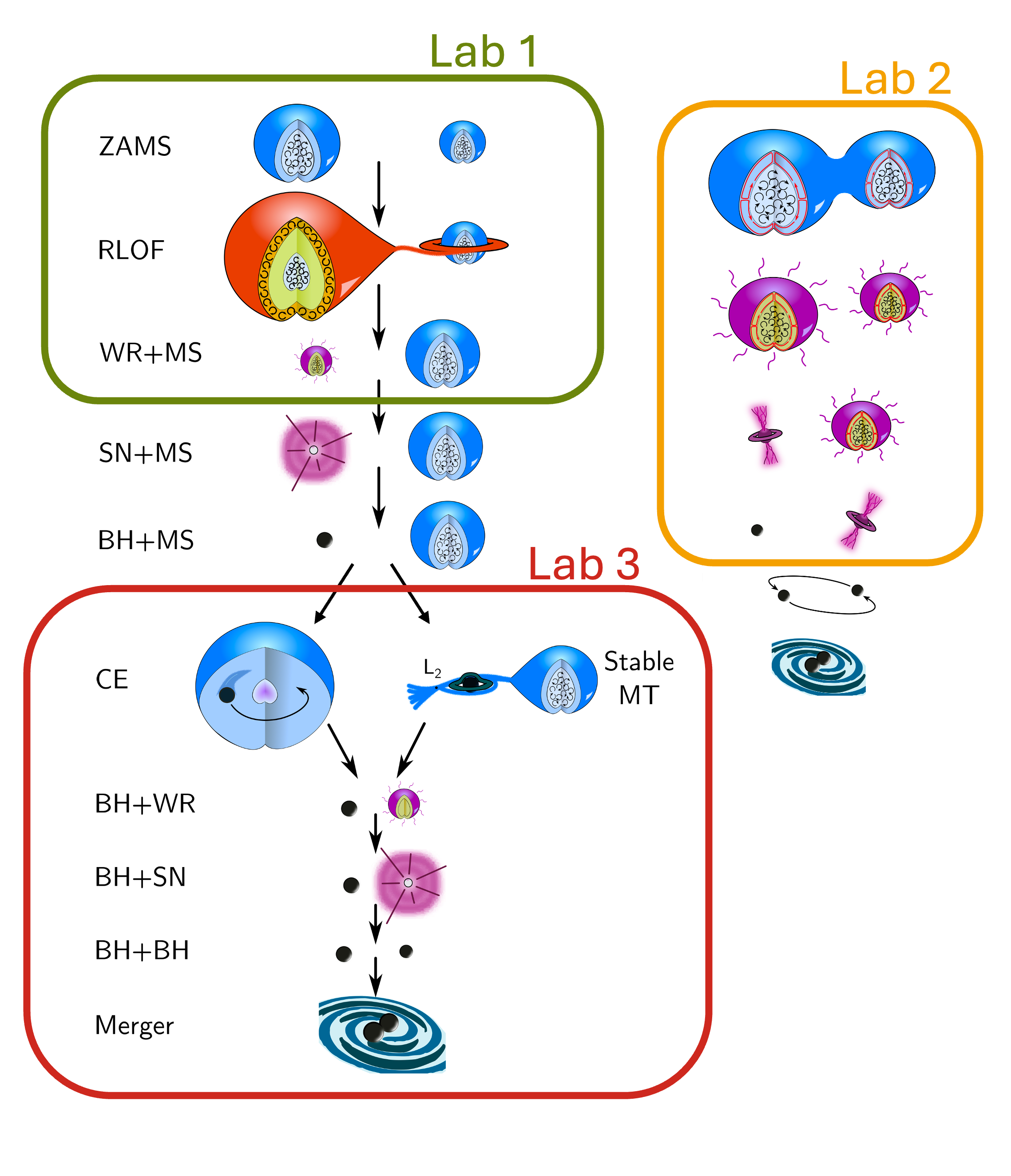 Binary black hole formation channel